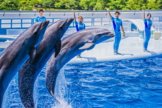 20170306-どうぶつ3