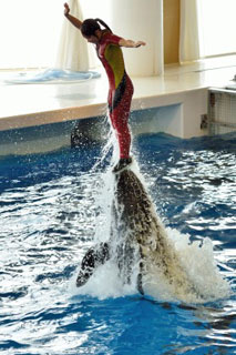 20170306-どうぶつ2